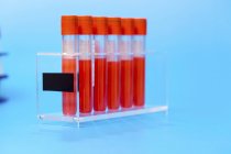 Rack of test tubes with blood samples on blue background. — Stock Photo