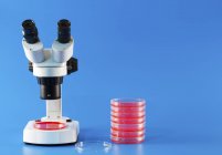 Mikroskop und Haufen auf Petrischalen im Labor auf blauem Hintergrund. — Stockfoto