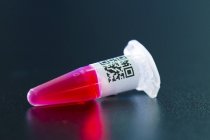 Close-up of sample on red liquid in centrifuge tube. — Stock Photo