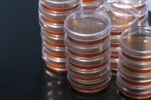 Platos de Petri apilados con agar de sangre sobre fondo liso
. - foto de stock