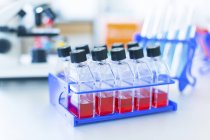 Close-up de rack de culturas de células em garrafas em laboratório
. — Fotografia de Stock