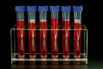 Tubos de ensayo con líquido rojo en rack . - foto de stock