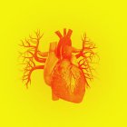 Human heart against yellow background, illustration. — Stock Photo