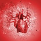 Coeur humain sur fond rouge, illustration . — Photo de stock