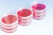 Platos de Petri apilados con muestras de sangre . - foto de stock