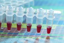 Close-up de tubos de microcentrifugação com amostras de sangue . — Fotografia de Stock