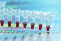 Primer plano de los tubos de microcentrifugación con muestras de sangre . - foto de stock