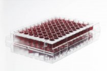 Placa de múltiplos poços com amostras biológicas sobre fundo branco . — Fotografia de Stock