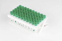 Plastic test tubes in rack on white background. — Stock Photo