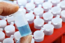 Close-up de dedos cientistas segurando tubo de microcentrífuga com líquido azul . — Fotografia de Stock
