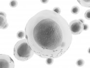 Cellules transparentes sur fond blanc, illustration numérique . — Photo de stock