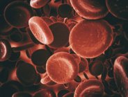 Красные кровяные тельца, цифровая иллюстрация . — стоковое фото