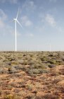 Turbine presso il parco eolico vicino a Vredendal, Western Cape, Sud Africa
. — Foto stock