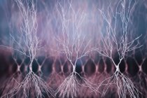 Struktur der Neuronen im Hippocampus, digitale Kunstwerke. — Stockfoto