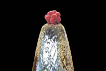 Konzeptionelle digitale Illustration der menschlichen Blastozyste an der Nadelspitze. — Stockfoto