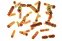 Ilustração digital de bactérias anaeróbias sacarolíticas Bacteroides . — Fotografia de Stock