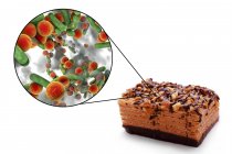 Ilustración conceptual del trozo de pastel y aumento de las bacterias de la infección transmitida por los alimentos sobre fondo blanco . - foto de stock