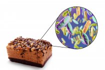 Концептуальні ілюстрації шматок пирога і збільшення бактерій харчового інфекції на білому тлі. — стокове фото