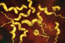 Campylobacter jejuni Bakterien mit Flagellen, digitales Kunstwerk. — Stockfoto