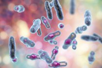 Digitales Kunstwerk von Clostridium perfringens grampositive stäbchenförmige Bakterien. — Stockfoto