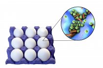 Konzeptionelle Illustration von Hühnereiern im Karton und Vergrößerung von Bakterien lebensmittelbedingter Infektionen auf weißem Hintergrund. — Stockfoto