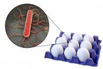 Ilustração conceitual de ovos de galinha na caixa e ampliação da bactéria da infecção transmitida por alimentos no fundo branco . — Fotografia de Stock