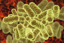 Digital illustration of Enterobacter Gram-negative bacilli. — Stock Photo