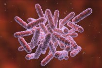 Digital illustration of Enterobacteriaceae Gram-negative rod-shaped bacteria. — Stock Photo