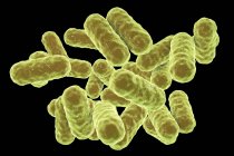 Digital illustration of Enterobacter Gram-negative bacilli on black background. — Stock Photo
