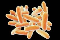 Цифровий ілюстрація легионелла pneumophila бактерій, що викликають хвороба легіонерів. — стокове фото
