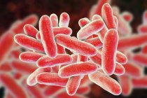 Illustrazione digitale dei batteri della Legionella pneumophila che causano la malattia dei Legionari . — Foto stock