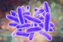 Digital illustration of Legionella pneumophila bacteria causing Legionnaires disease. — Stock Photo