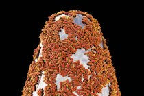 Digitale Darstellung von Bakterien auf der Spitze der Nadel. — Stockfoto