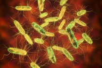 Illustration numérique de Salmonella Gram négatif en forme de tige bactérienne avec flagelles . — Photo de stock