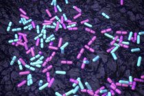 Многоцветные палочкообразные почвенные бактерии, концептуальная иллюстрация
. — стоковое фото