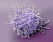 Colored scanning electron micrograph of activated T lymphocyte from human blood sample. — Stock Photo