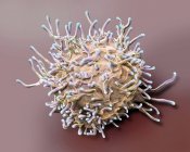 Colored scanning electron micrograph of activated T lymphocyte from human blood sample. — Stock Photo