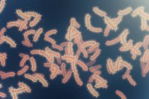 Coli bacteria on plain background, digital illustration. — Stock Photo