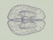 Silhueta do cérebro humano em fundo simples, ilustração digital . — Fotografia de Stock