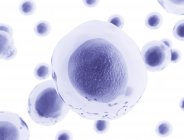 Digital artwork of round transparent cells on white background. — Stock Photo