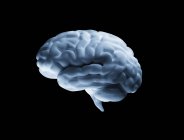 Weißes menschliches Gehirn auf schwarzem Hintergrund, digitales Kunstwerk. — Stockfoto