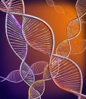 Ilustración digital que muestra la estructura de moléculas de ADN de doble cadena . - foto de stock