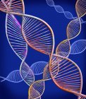 Цифровая иллюстрация, показывающая структуру двуцепочечных молекул ДНК . — стоковое фото