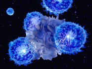 Ilustración de células dendríticas que interactúan con células T sobre fondo negro . - foto de stock