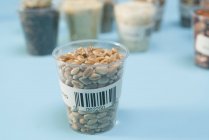Wheat in plastic cup for agriculture research, conceptual image. — Stock Photo