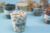 Grani e legumi in bicchieri di plastica per la ricerca agricola, immagine concettuale . — Foto stock
