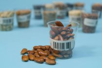 Haricots bruns dans une tasse en plastique pour la recherche agricole, image conceptuelle . — Photo de stock