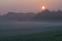 Paesaggio collinare rurale nebbioso con foresta all'alba . — Foto stock