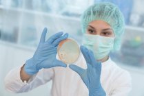 Female scientist examining microbial growth on Petri dish. — Stock Photo