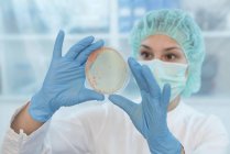 Cientista feminina examinando o crescimento microbiano na placa de Petri . — Fotografia de Stock